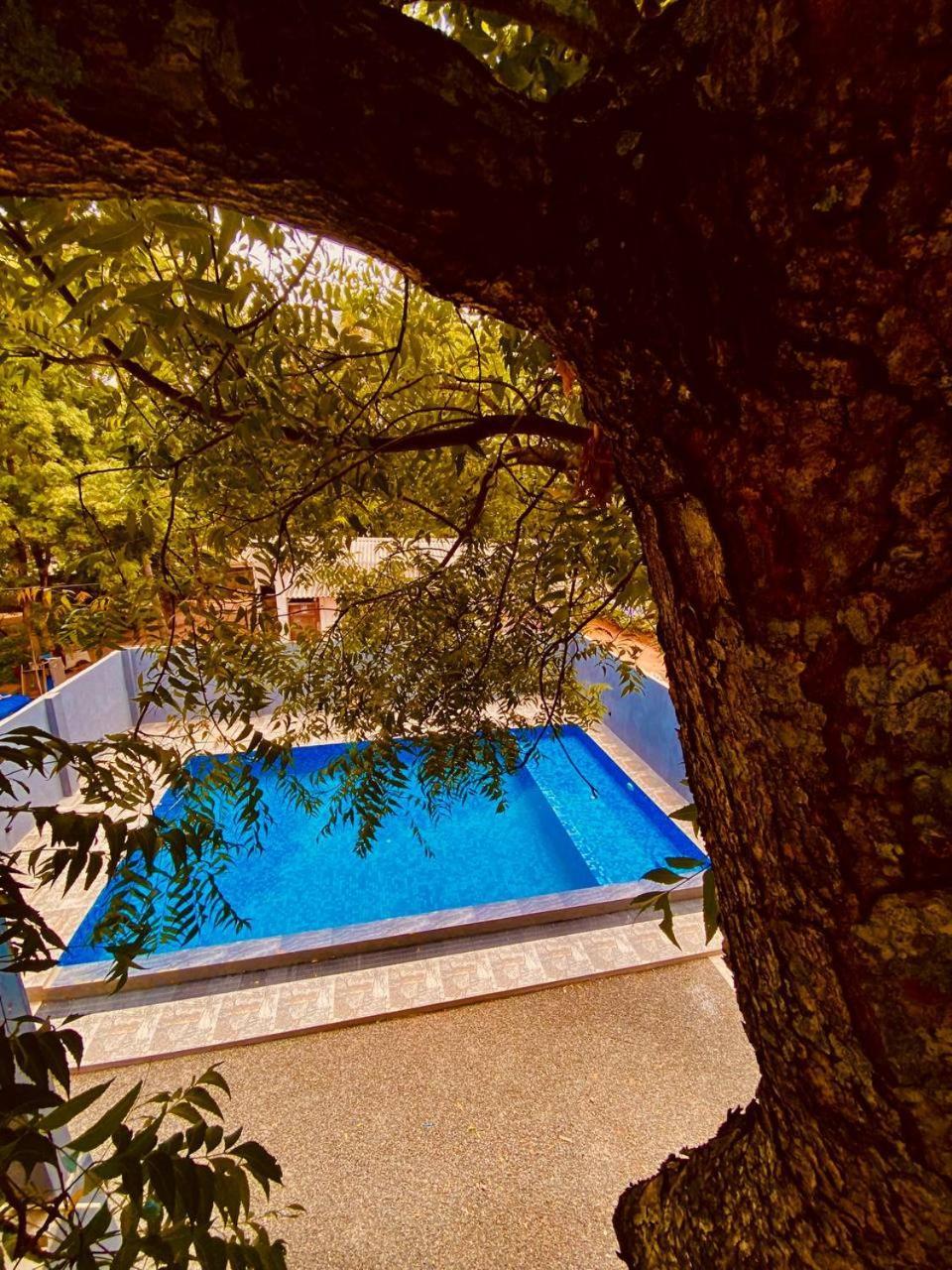 Coffee House Dambulla Hotel Exterior foto